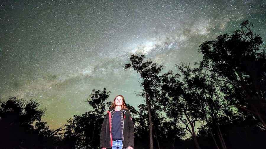 From Perth: Perth Wildlife Tour Under the Stars with Dinner - Picnic dinner in the forest: BBQ comfort between the sightings