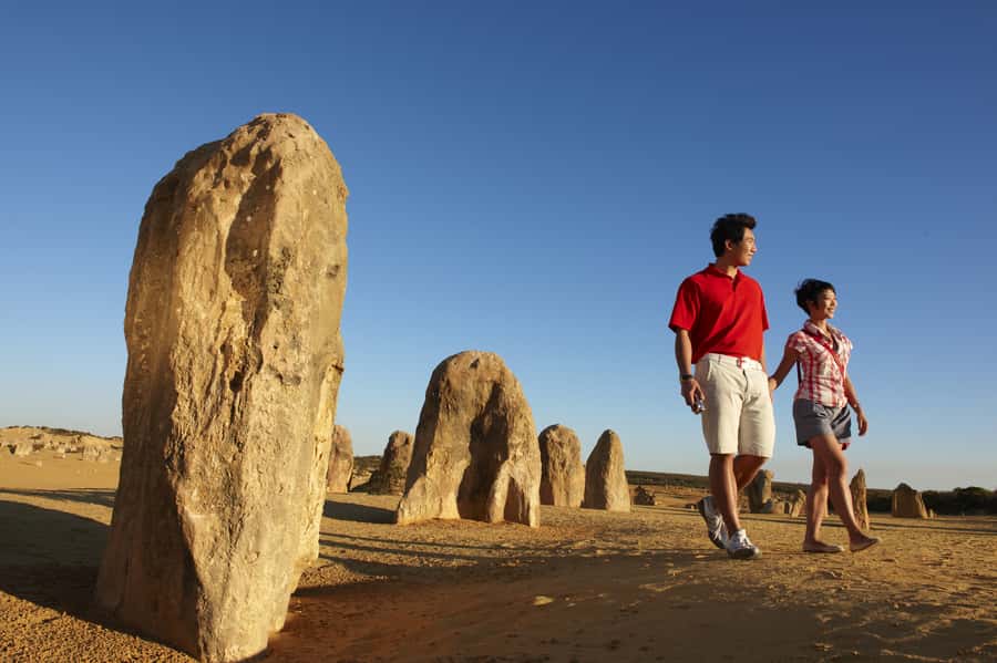 From Perth: Pinnacles Desert, Yanchep & Swan Valley Day Tour - Key Points I’d Circle Before You Book