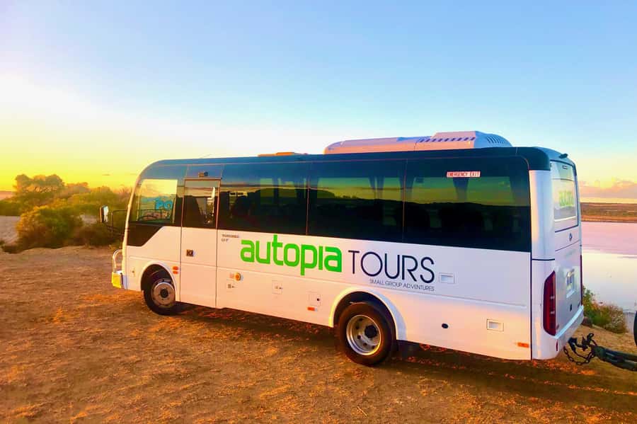 From Perth: Pinnacles Lobster Shack and Yanchep Day Trip - Guides make or break it: what to look for on the day
