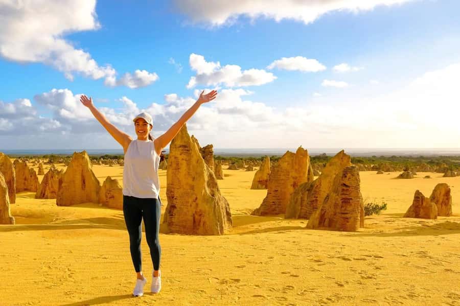 From Perth: Pinnacles Lobster Shack and Yanchep Day Trip - Pickup, pace, and mini-coach comfort (what to watch for)