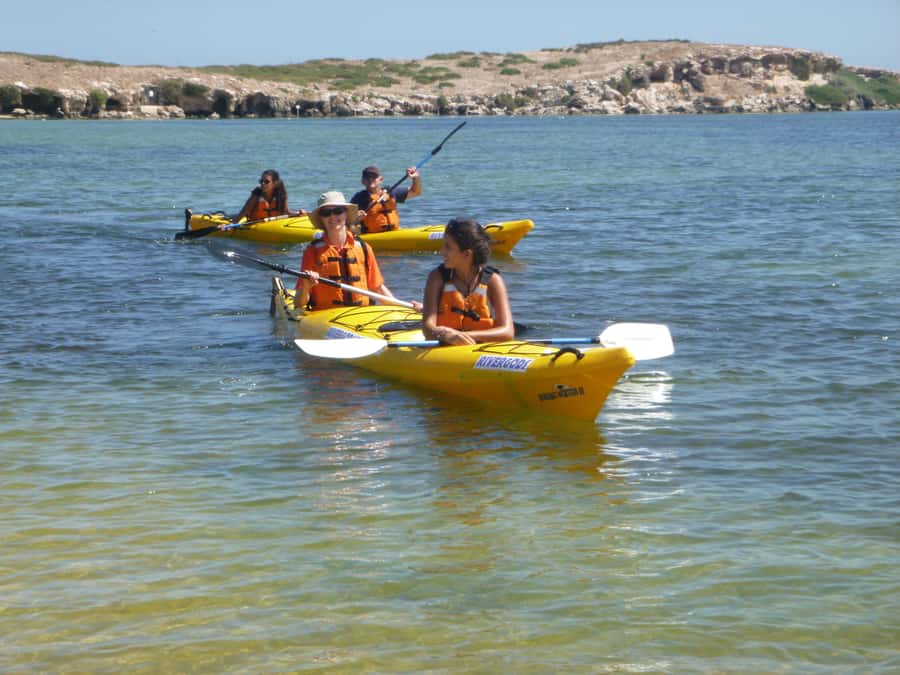 From Perth: Rockingham Seal & Penguin Islands Sea Kayak Tour - Snorkeling and swim time: the included gear helps, but conditions still rule