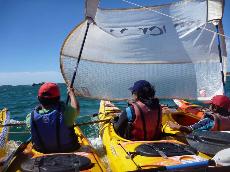 From Perth: Rockingham Seal & Penguin Islands Sea Kayak Tour - Value for $140: what you’re really paying for