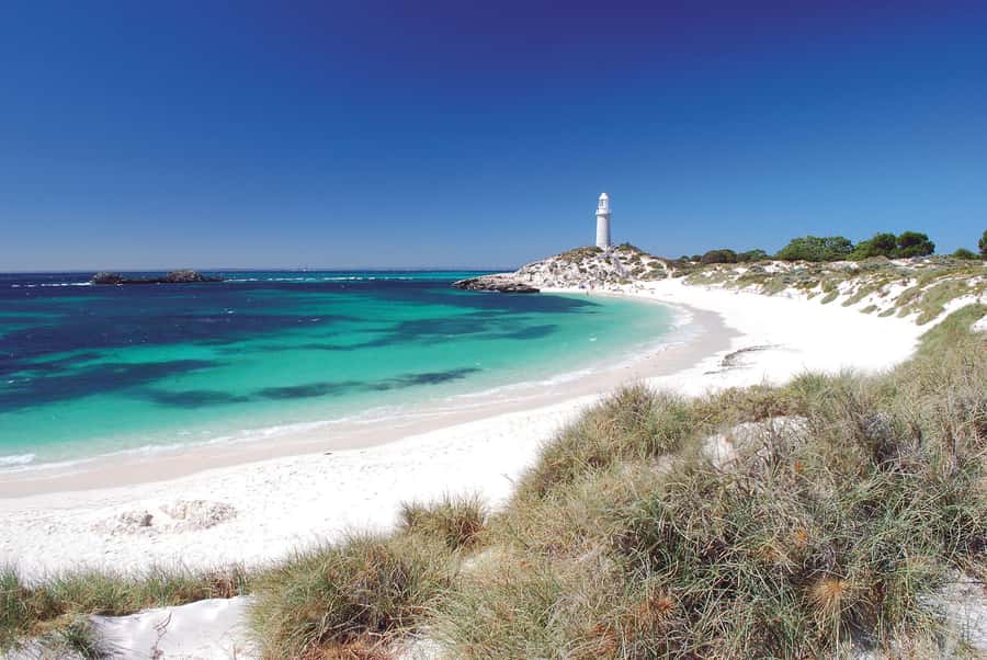 From Perth: Rottnest Island Ferry & Bike Trip - First stop: Perth to Rottnest, without the hassle