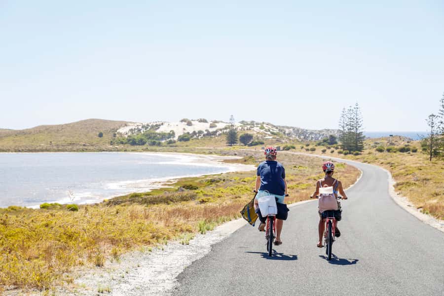 From Perth: Rottnest Island Ferry & Bike Trip - Quokkas: the iconic part, and how to spot them calmly