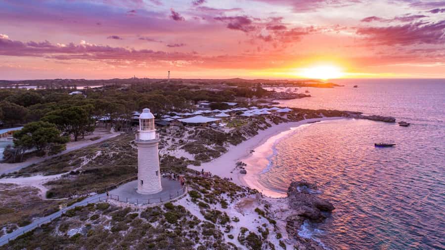 From Perth: Rottnest Island Ferry & Bus Day Tour - Thomson Bay bus loop: Wadjemup Lighthouse and West End stops