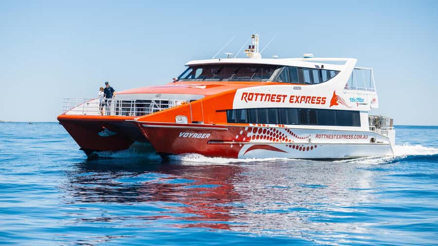 From Perth: Rottnest Island Ferry & Bus Day Tour - Quokkas, fur seals, and whale season timing