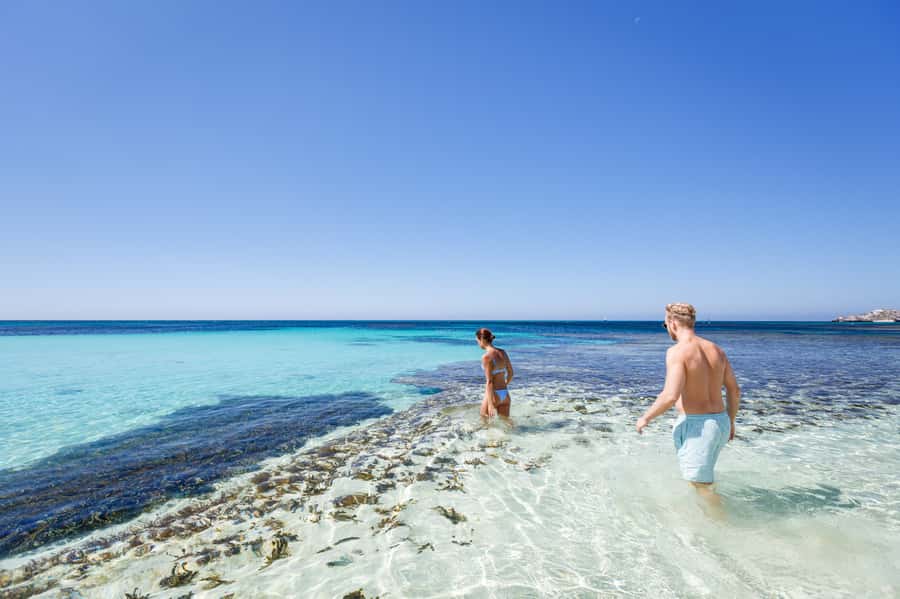 From Perth: Rottnest Island Ferry & Bus Day Tour - Crossing to Rottnest: pacing, comfort, and sea conditions
