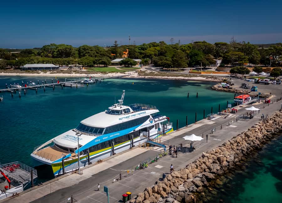 From Perth: Rottnest Island Full-Day Bike and Ferry Trip - Quick Key Points Before You Go