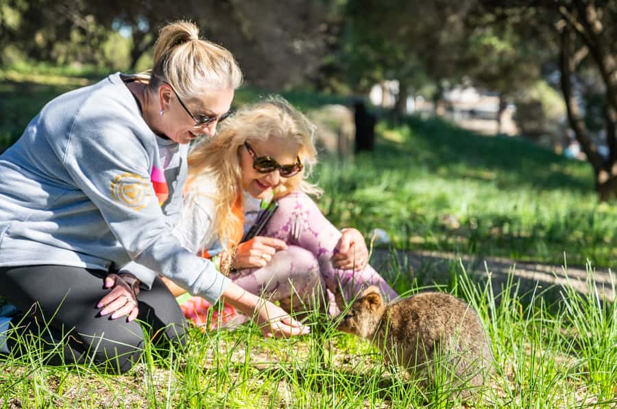 From Perth: Rottnest Island Full-Day Bike and Ferry Trip - Rottnest Island at Your Pace: Car-Free Freedom With Real Distances