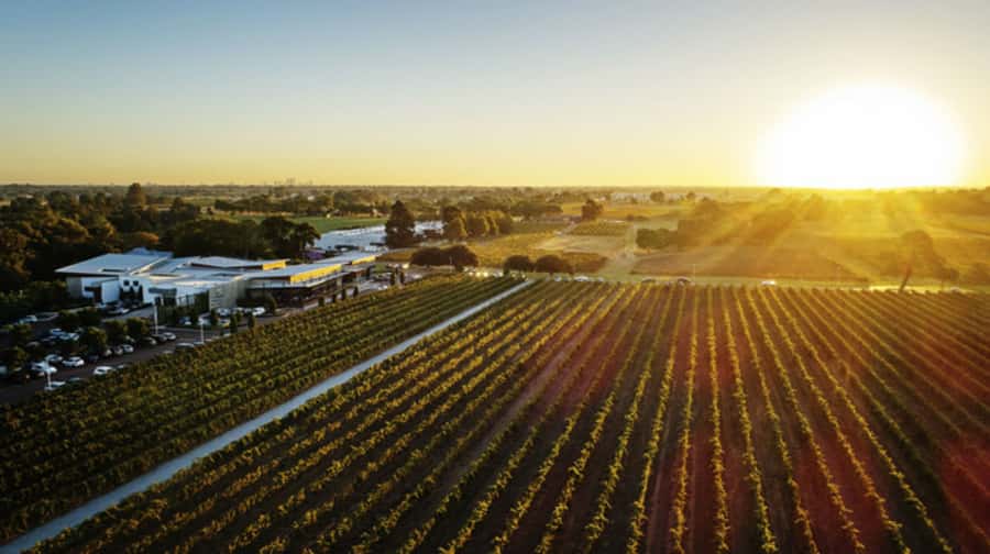 From Perth: Swan Valley Cruise, Winery, Cheese & Lunch - Perth to Swan Valley by boat: why this feels like a real day out