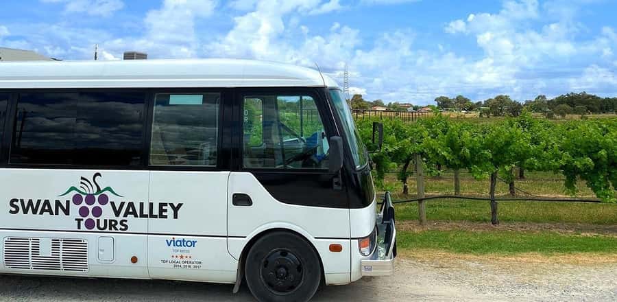 From Perth: Swan Valley Winery & Brewery Day Tour With Lunch - Perth CBD Pickup and the Coach Ride: Logistics You’ll Actually Appreciate