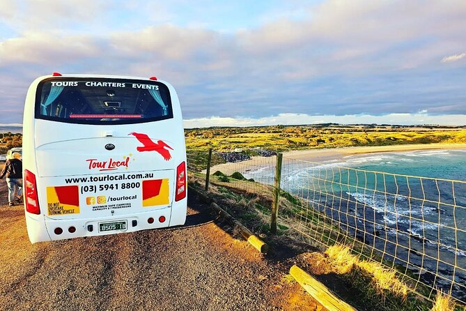 From Phillip Island: Wine and Wildlife Tour with Penguin Parade - Quick takeaways