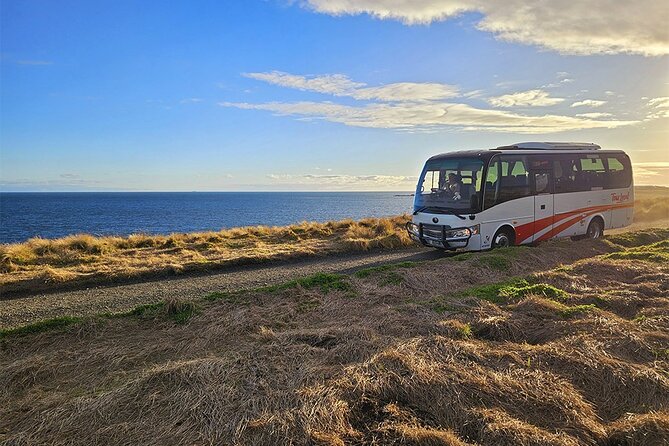 From Phillip Island: Wine and Wildlife Tour with Penguin Parade - Cowes and the quick breather that actually helps