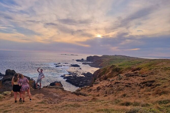 From Phillip Island: Wine and Wildlife Tour with Penguin Parade - Flynns Beach: a quick horizon fix