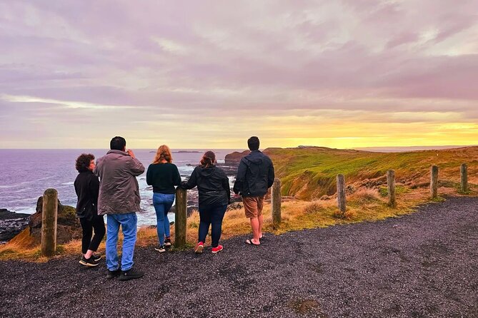 From Phillip Island: Wine and Wildlife Tour with Penguin Parade - The Nobbies Centre at golden hour: your wildlife odds rise here