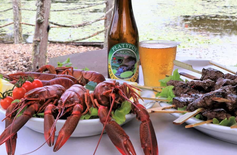From Port Douglas: Atherton Tablelands Adventure - Mt Uncle Distillery and the Final Pour at Sweetwater Lodge / Platypus Hut