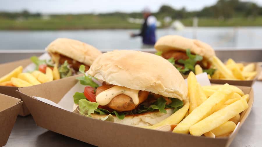 From Port Douglas: Barramundi Pond Fishing with Lunch - From Port Douglas to the Daintree ponds: the flow of the day