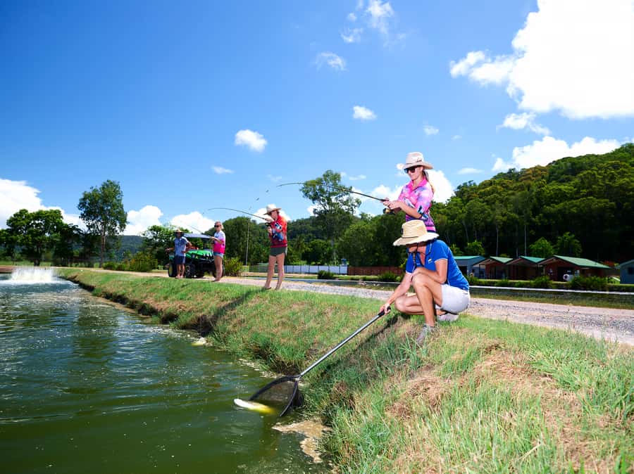 From Port Douglas: Barramundi Pond Fishing with Lunch - Weather, comfort, and what to bring for an outdoor pond session