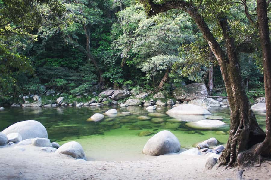 From Port Douglas: Daintree Rainforest & Mossman Gorge Tour - Cape Tribulation and lunch: short reset, big scenery payoff