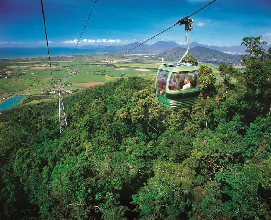 From Port Douglas: Hartley's Crocodile Park, Skyrail & Train - A Port Douglas Day Trip Built Around Three Big Experiences