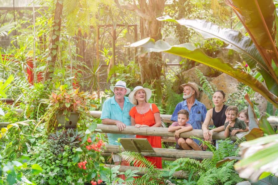 From Port Douglas: Hartley's Crocodile Park, Skyrail & Train - Kuranda Scenic Train and the Palm Cove Sunset Stop