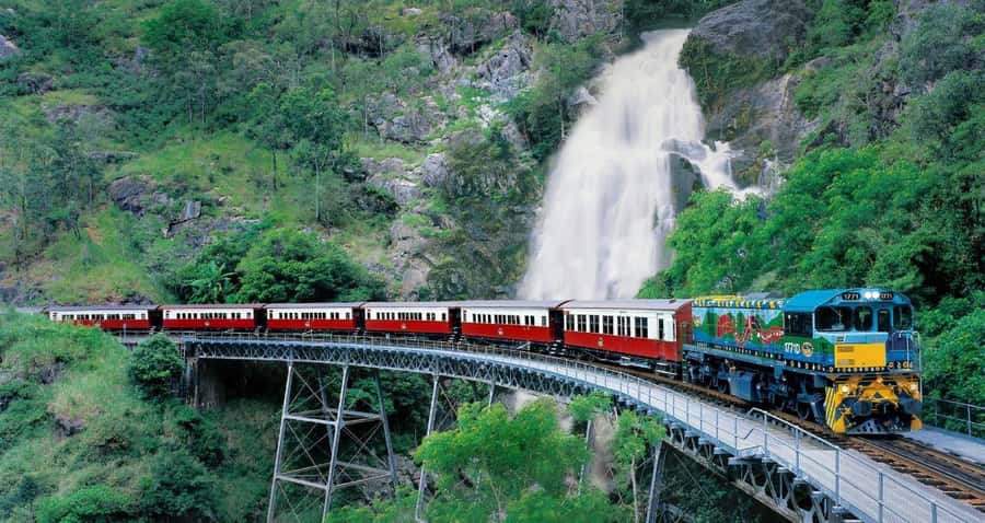 From Port Douglas: Hartley's Crocodile Park, Skyrail & Train - Getting the Most Out of the Schedule (Without Rushing Yourself)