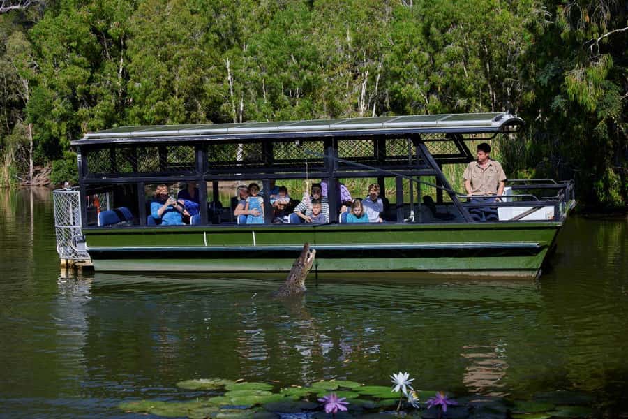 From Port Douglas: Hartley's Crocodile Park, Skyrail & Train - Who This Tour Fits (and Who Might Want Another Option)