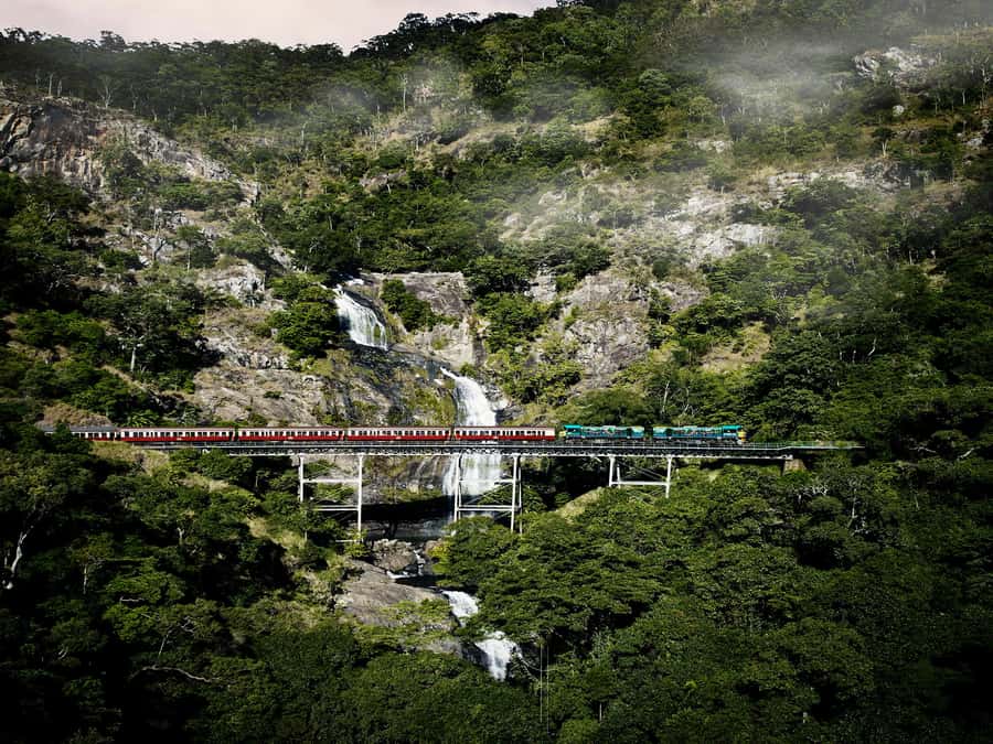 From Port Douglas: Kuranda Tour with Skyrail & Scenic Train - Key things that make this tour worth your time