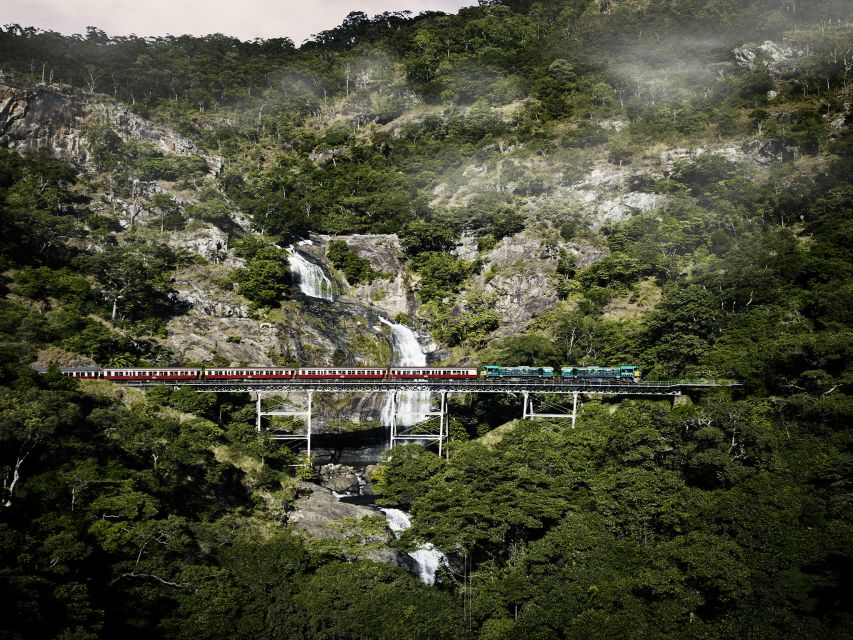 From Port Douglas: Kuranda Tour with Skyrail & Scenic Train - Kuranda Village: markets, crafts, and the real reason to slow down