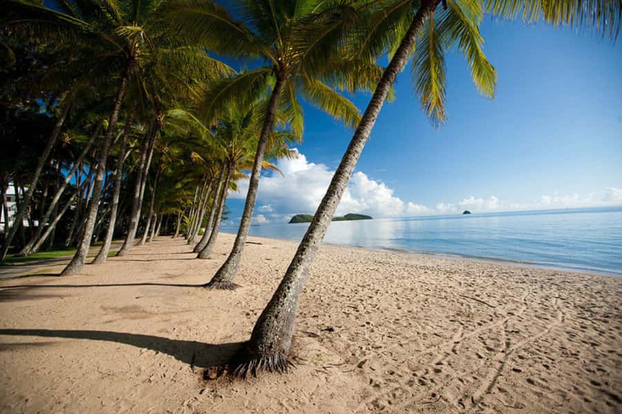 From Port Douglas: Kuranda Tour with Skyrail & Scenic Train - Weather and operating changes: the day can shift