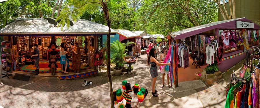 From Port Douglas: Kuranda via Scenic Rail or Skyrail Option - Port Douglas to Freshwater Station: the morning that sets the tone