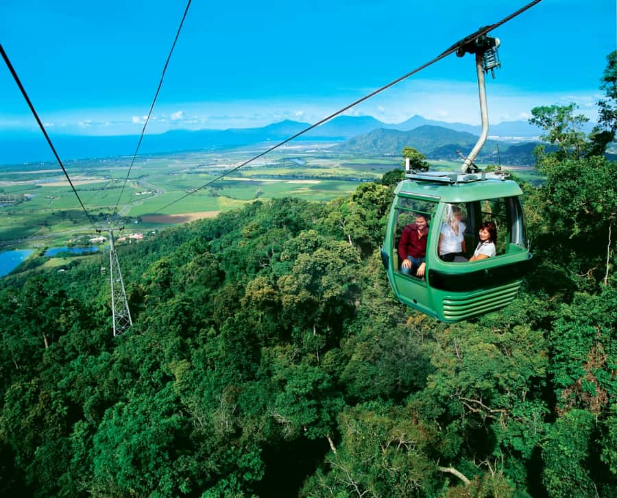 From Port Douglas: Kuranda via Scenic Rail or Skyrail Option - Skyrail Rainforest Cableway: overhead rainforest in 75 minutes