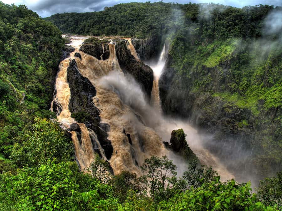 From Port Douglas: Kuranda via Scenic Rail or Skyrail Option - Who should book this Port Douglas to Kuranda day trip?
