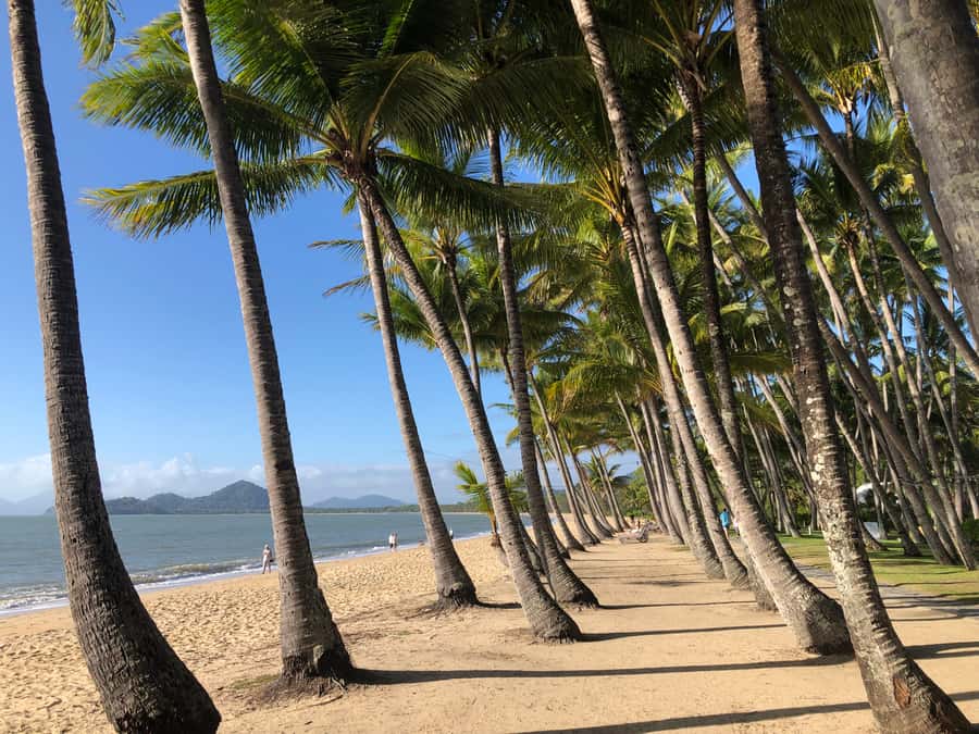 From Port Douglas: Kuranda via Scenic Rail or Skyrail Option - Kuranda time: markets, Aboriginal crafts, and snack-hunt energy