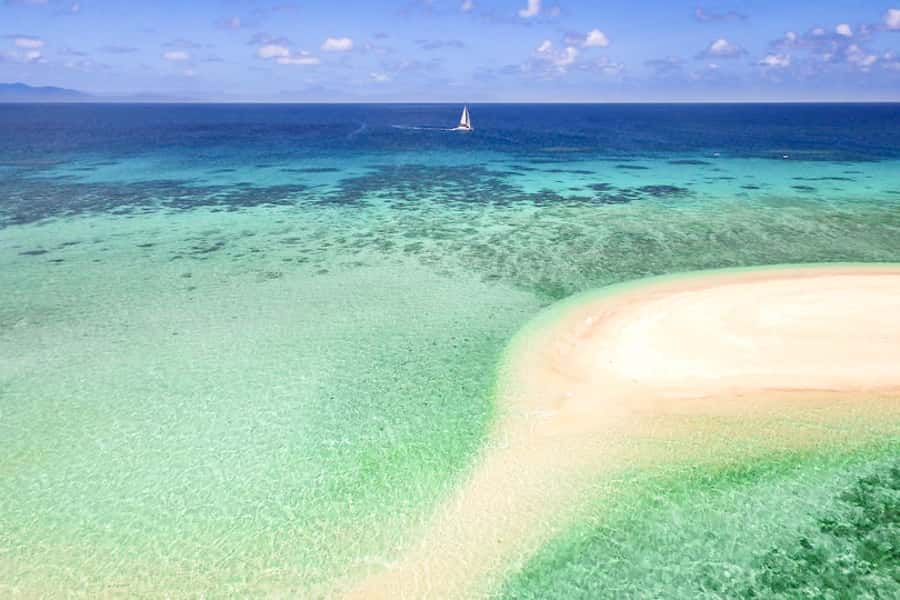 From Port Douglas: Outer Reef Cruise by Luxury Catamaran - Key things to know before you go
