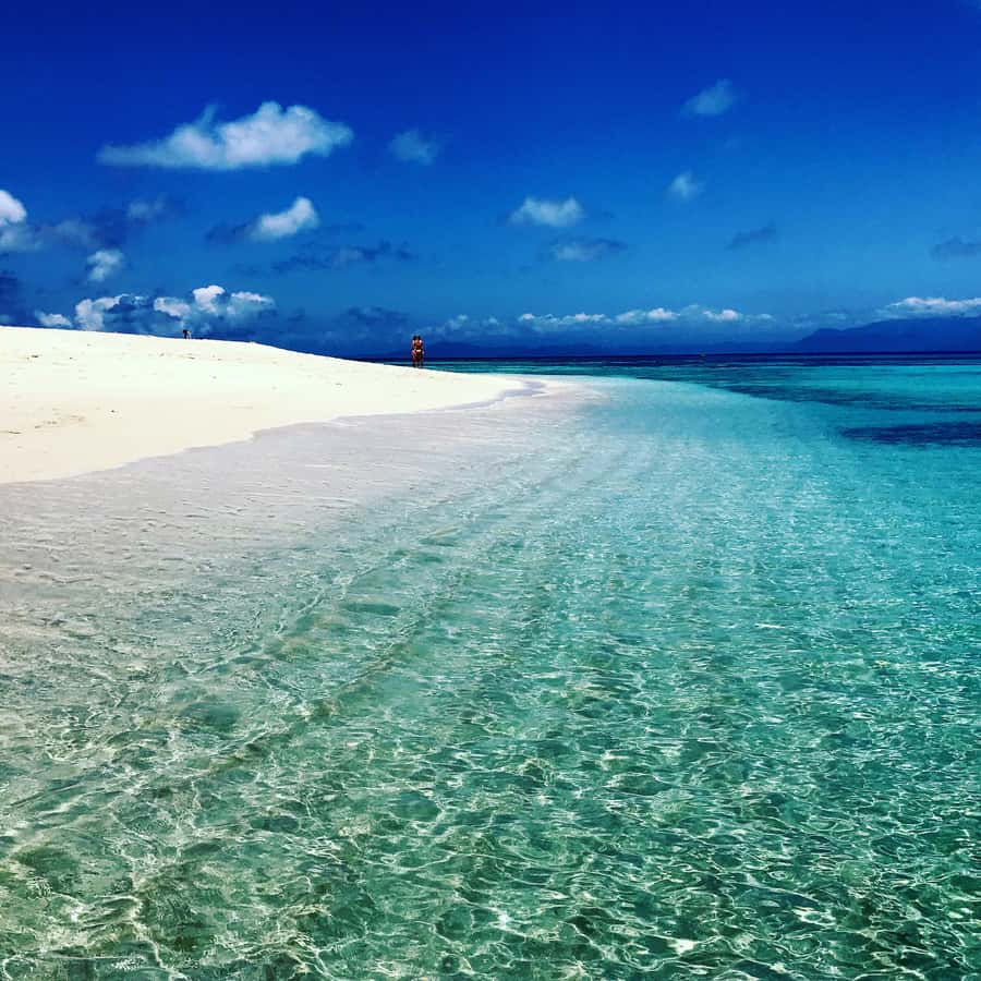 From Port Douglas: Outer Reef Cruise by Luxury Catamaran - Mackay Cay coral cay: the protected mooring and the first swim