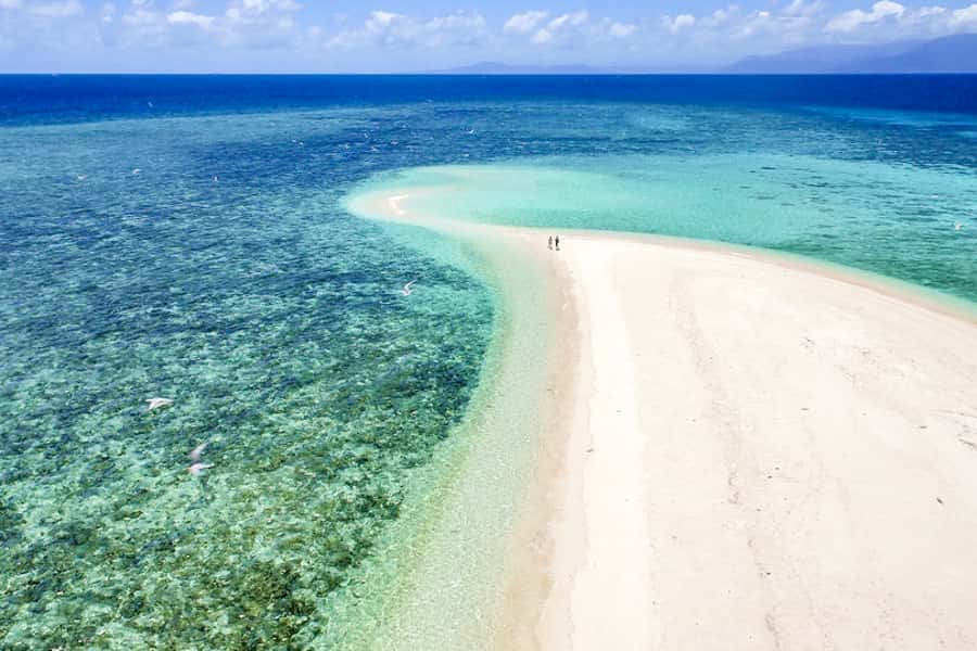 From Port Douglas: Outer Reef Cruise by Luxury Catamaran - Lunch onboard: tropical buffet with a smart schedule