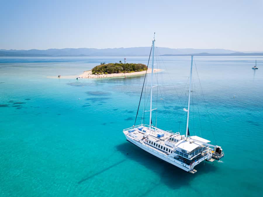 From Port Douglas: Sail to Low Isles Great Barrier Reef - Key highlights