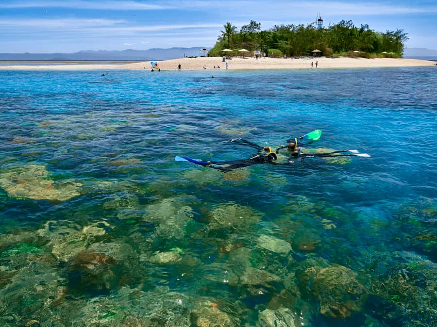From Port Douglas: Sail to Low Isles Great Barrier Reef - Low Isles coral cay: snorkeling, glass-bottom reef viewing, and turtle time