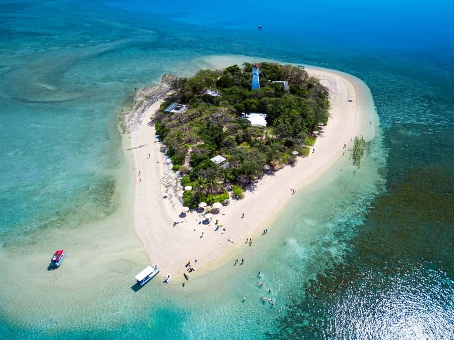 From Port Douglas: Sail to Low Isles Great Barrier Reef - Food, tea stops, and why the day doesn’t feel like a rush by default