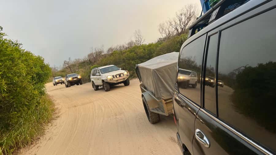 From Rainbow Beach: 2-Day K'gari (Fraser Island) 4WD Tour - Wildlife rules and safety mindset on Fraser