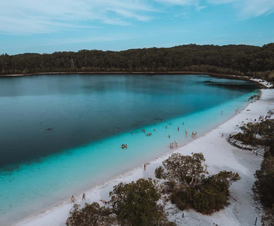 From Rainbow Beach: K'gari (Fraser Island) Full-Day Tour - Eli Creek: Where the Day Slows Down for a Real Soak