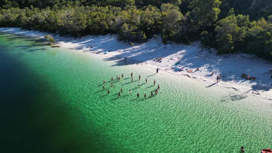 From Rainbow Beach: K'gari (Fraser Island) Full-Day Tour - Lake McKenzie (Boorangoora): The Swim Slot That’s Worth the Hype