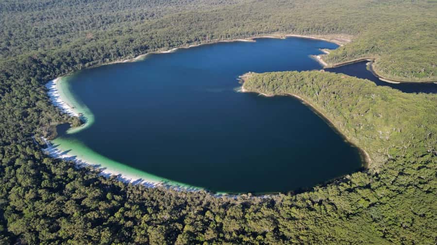 From Rainbow Beach: K'gari (Fraser Island) Full-Day Tour - Who This Tour Is For (and Who Should Skip It)