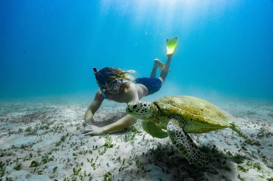 From Rosslyn: Great Keppel Island Adventure Tour with Lunch - Great Keppel Island time: trails, white sand, and a little breathing room
