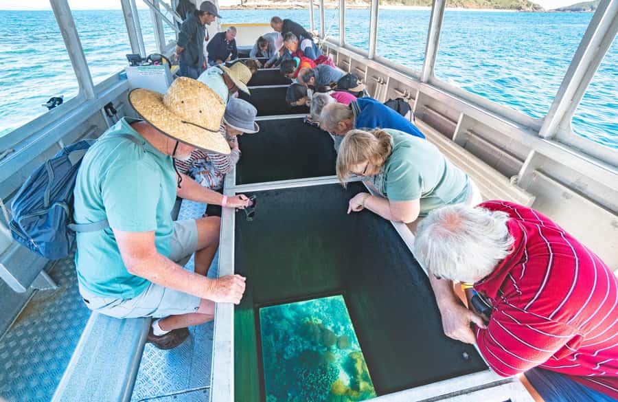 From Rosslyn: Great Keppel Island Adventure Tour with Lunch - Glass-bottom boat coral viewing (with a marine biologist on board)
