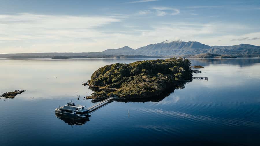 From Strahan: Evening Dinner Cruise on the Gordon River - Why This Strahan-to-Gordon River Cruise Works in One 6-Hour Block
