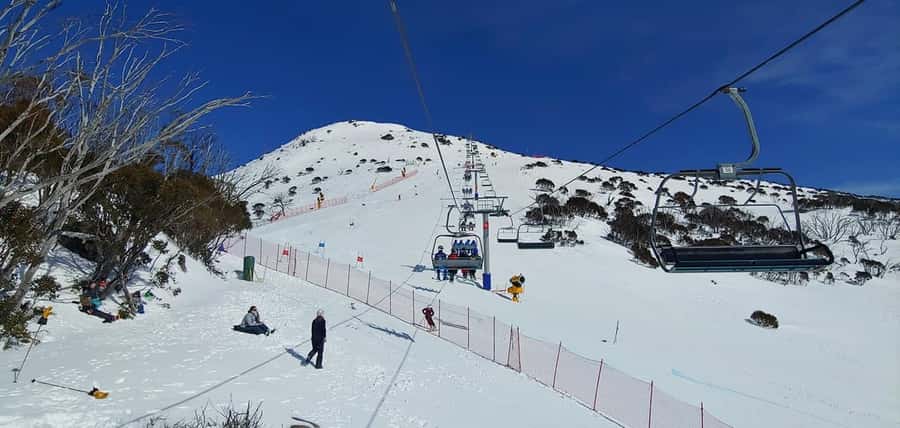 From Sydney 1 Day Perisher Snow Tour - Rules of the Road: What to Bring and What Not to Do