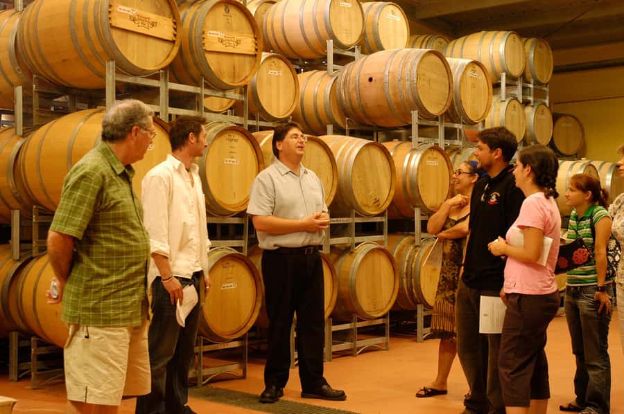 From Sydney: All Inclusive Boutique Hunter Valley Wine Tour - Second and third winery stops: boutique tasting rooms and the reality of variety