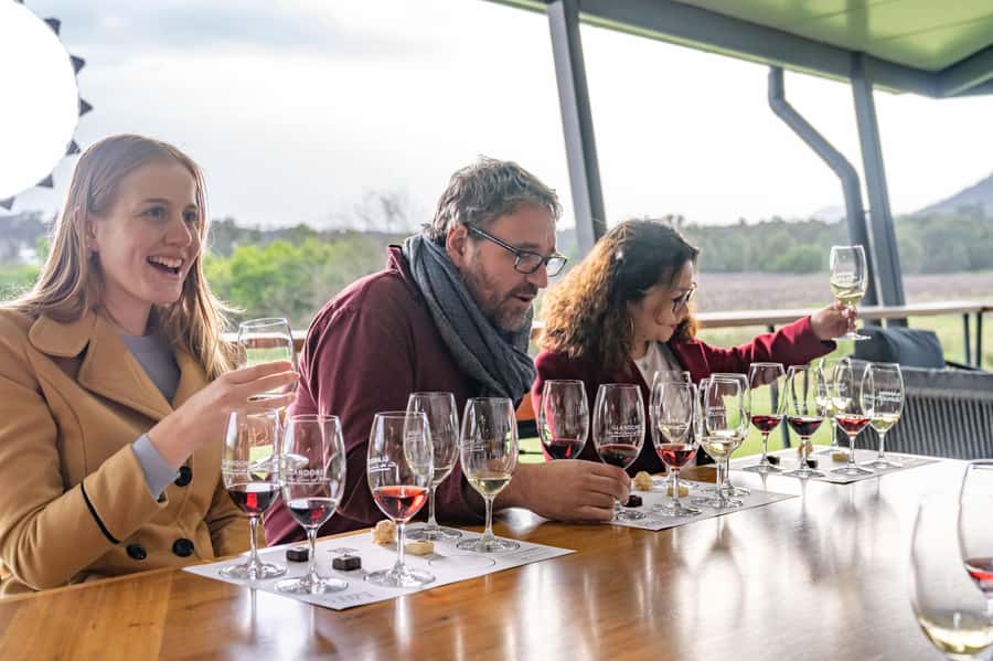 From Sydney: Award-Winning Hunter Valley Wine & Cheese Tour - Key highlights worth clocking before you go